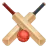 Críquete icon